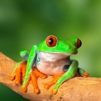 Costa Rica "Pura Vida"