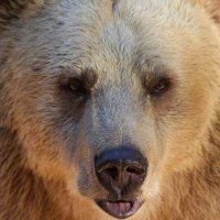 Ofertas y oportunidades únicas