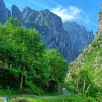 Bosques asturianos