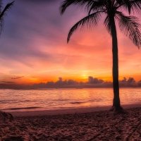 Punta Cana Single