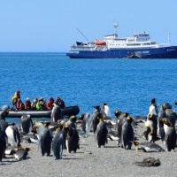 Descubre la Antártida