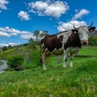 Galicia Terra Única